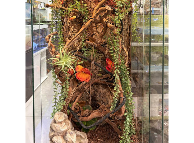 Террариумный комплект "Аравийская Крона"